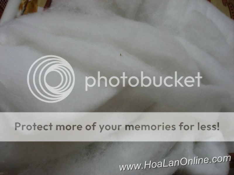 Cần bán hoa lan các loại giá rẻ - 4