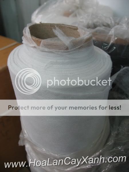 Cần bán hoa lan các loại giá rẻ - 6