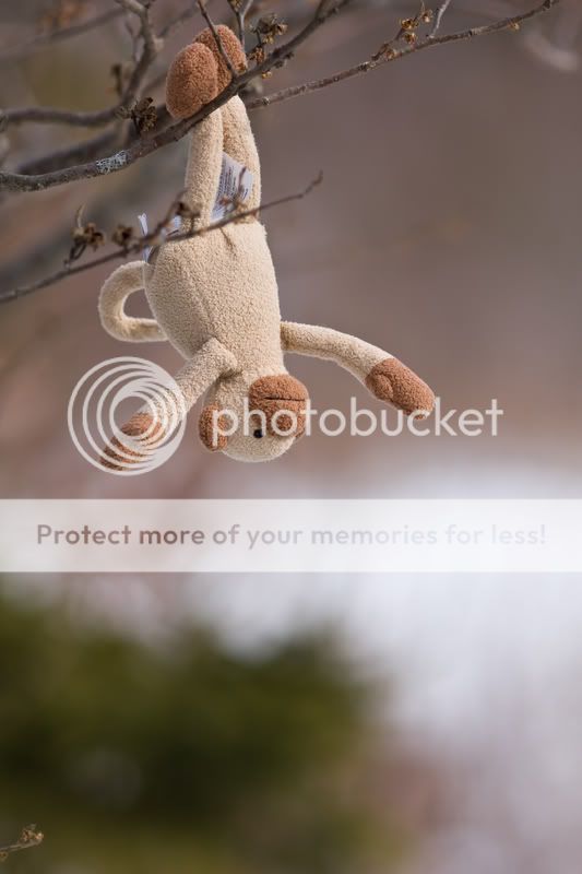 IMAGE: http://i329.photobucket.com/albums/l368/EOCKOC/IMG_1139.jpg