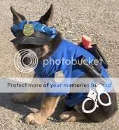 PoliceDog.jpg