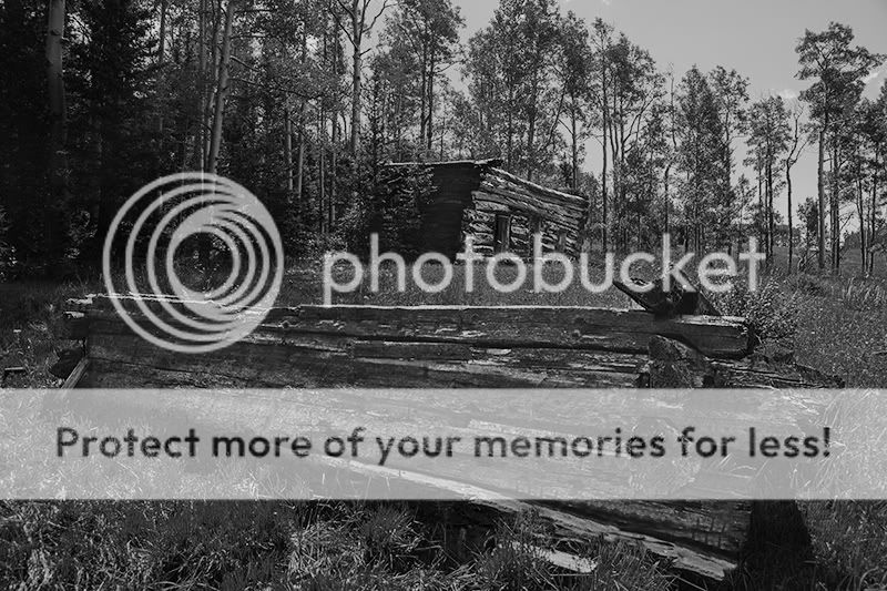 IMAGE: http://i329.photobucket.com/albums/l383/chauncey43/dalton-cabin.jpg