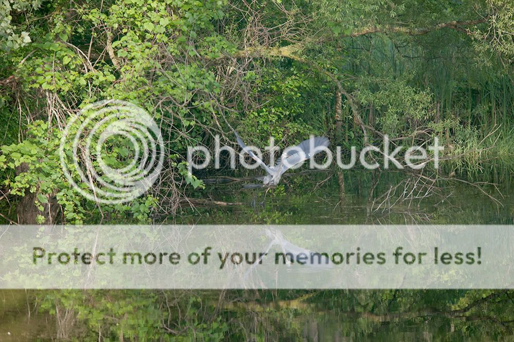 IMAGE: http://i329.photobucket.com/albums/l383/chauncey43/liftoff-prelim.jpg