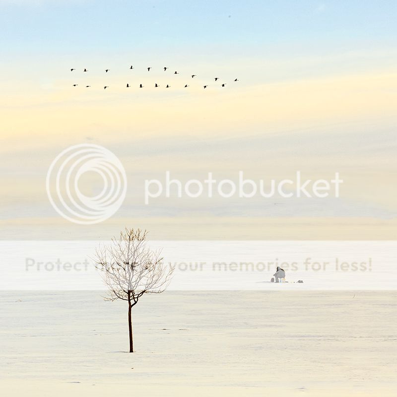 IMAGE: http://i329.photobucket.com/albums/l383/chauncey43/lone-fisherman-2-copy-2-3.jpg