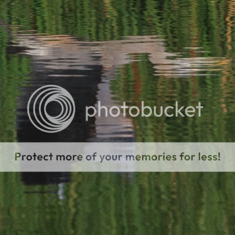 IMAGE: http://i329.photobucket.com/albums/l383/chauncey43/selection-1.jpg