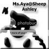Ms Aya | Sheep