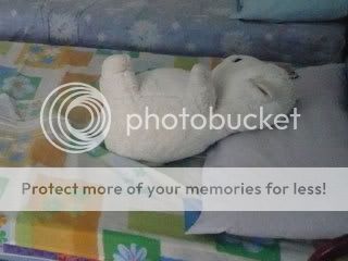 Ms.Ayas Bed My simple and humble bed of roses