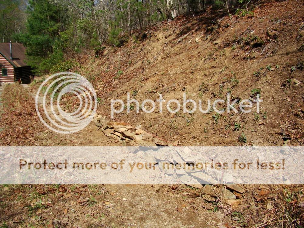 Petunias On A Hill Start